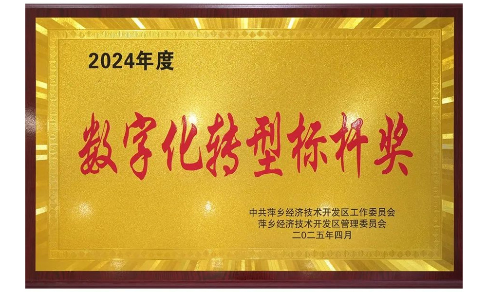 数字化转型标杆奖